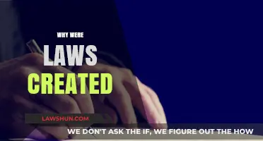The Evolution of Laws: Why They Exist