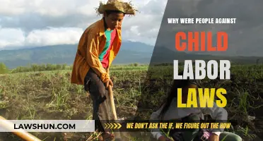 Resistance to Child Labor Laws: Historical Opposition and Economic Concerns
