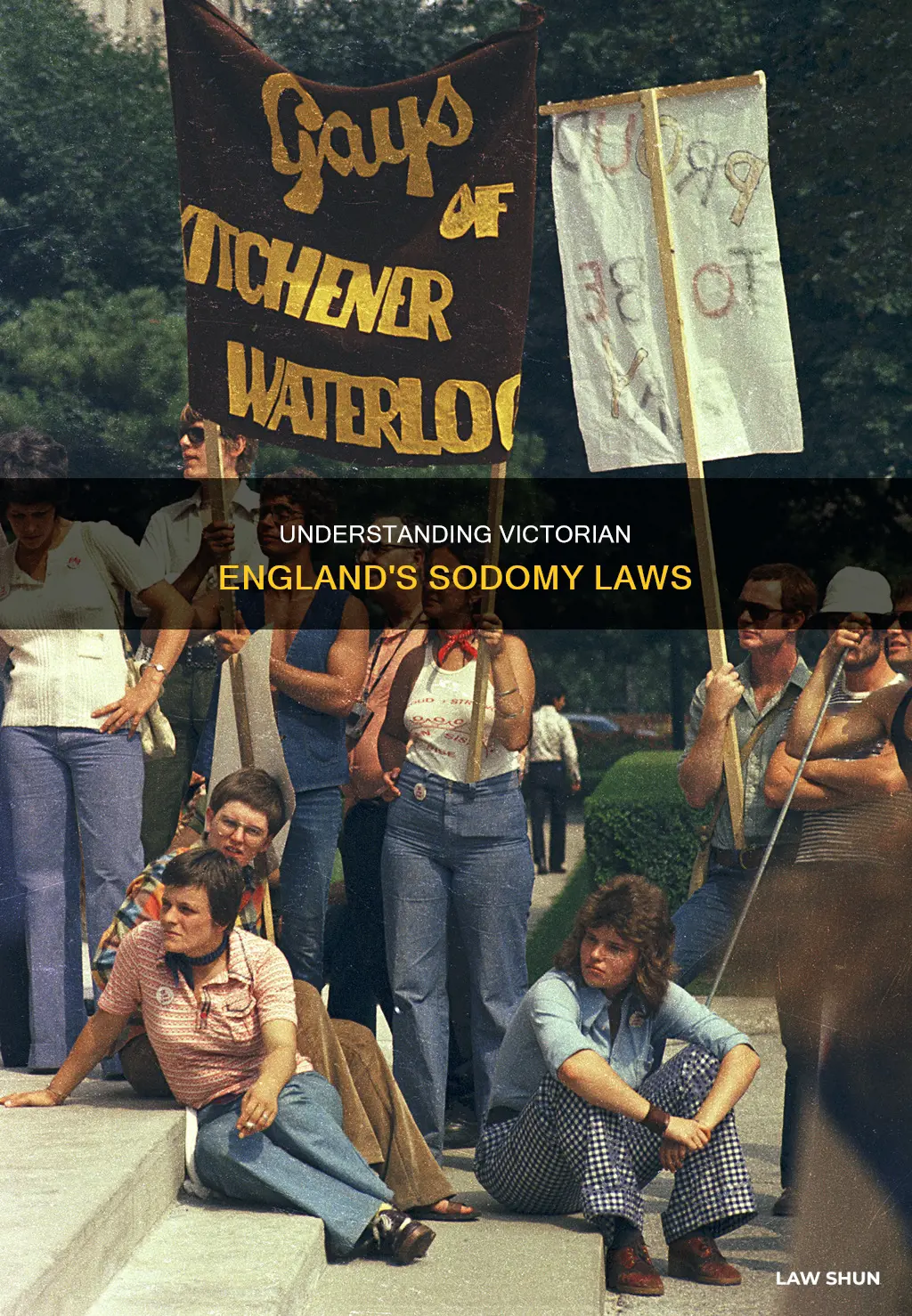 why were sodomy laws created in victorian england