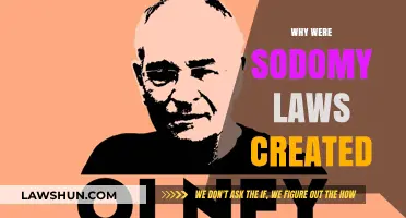 Understanding Sodomy Laws: Historical Discrimination