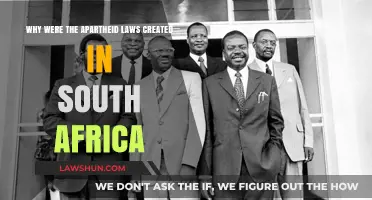 Understanding Apartheid Laws in South Africa: Origins and Motives