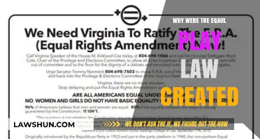 Equality Laws: Why They Were Created