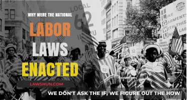 Understanding the Enactment of National Labor Laws: A Historical Perspective