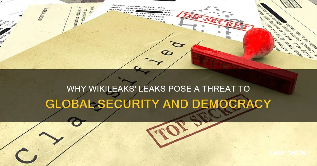 why wikileaks is breaking the law