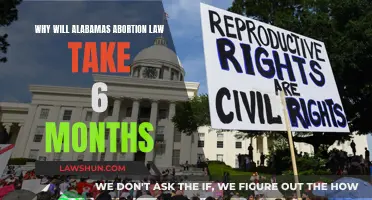 Alabama's Abortion Law: 6-Month Wait, Why?