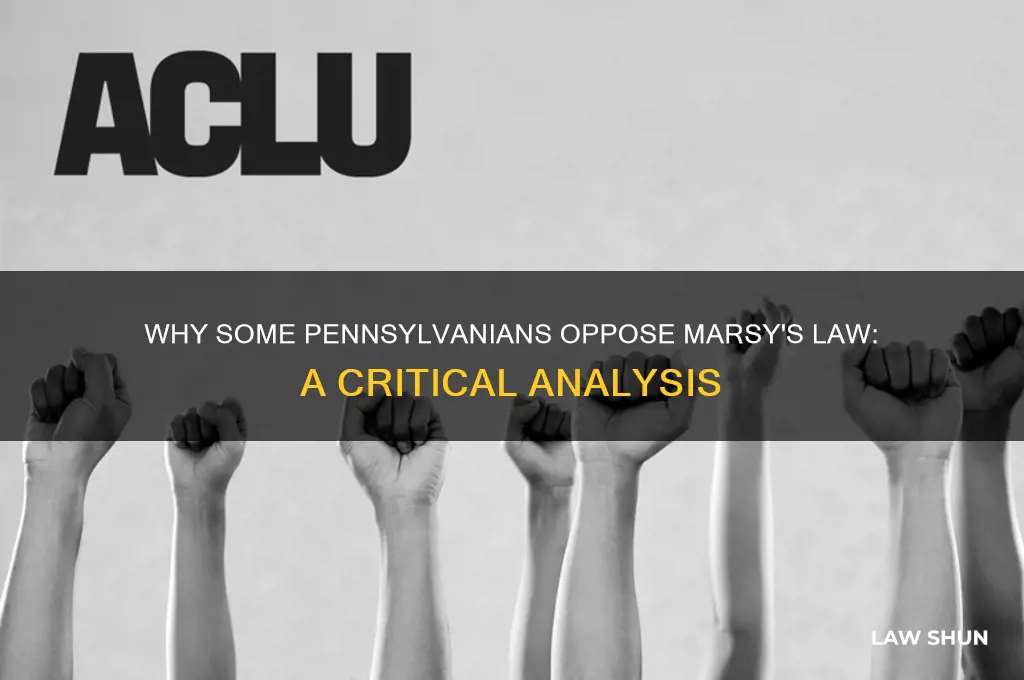 why woud anyone vote against marsys law in pa