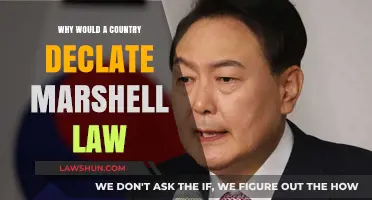 Understanding the Reasons Behind a Country Declaring Martial Law