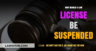 Legal Practice: License Suspended, What's Next?