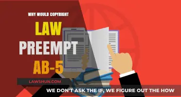 Copyright Law vs. AB-5: Understanding Preemption in Creative Industries