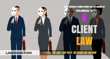 Legal Bias: Understanding Prejudice in Client Representation