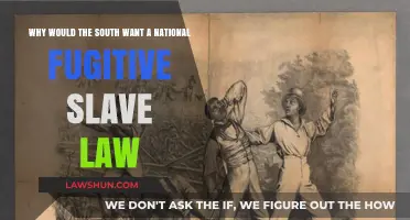 Historical Context: The Fugitive Slave Law and the South's Motivations