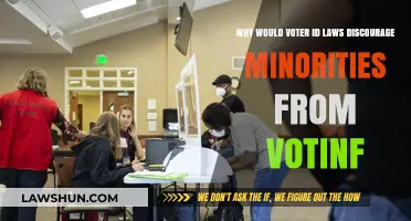 Voter ID Laws: Barriers to Minority Voting Rights?
