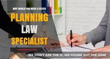 Why Hiring an Estate Planning Law Specialist is Essential