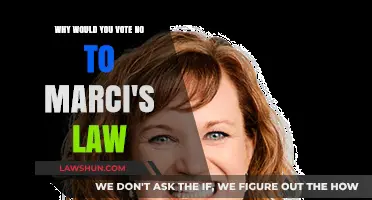 Why I'm Voting No on Marci's Law: Concerns and Consequences