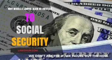 Why Lawful Aliens Should Be Entitled to Social Security Benefits