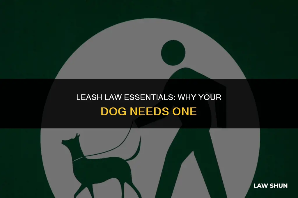 why you should keep your dog on a leash law