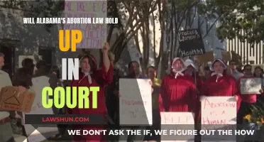 Alabama's Abortion Law: Will It Stand in Court?