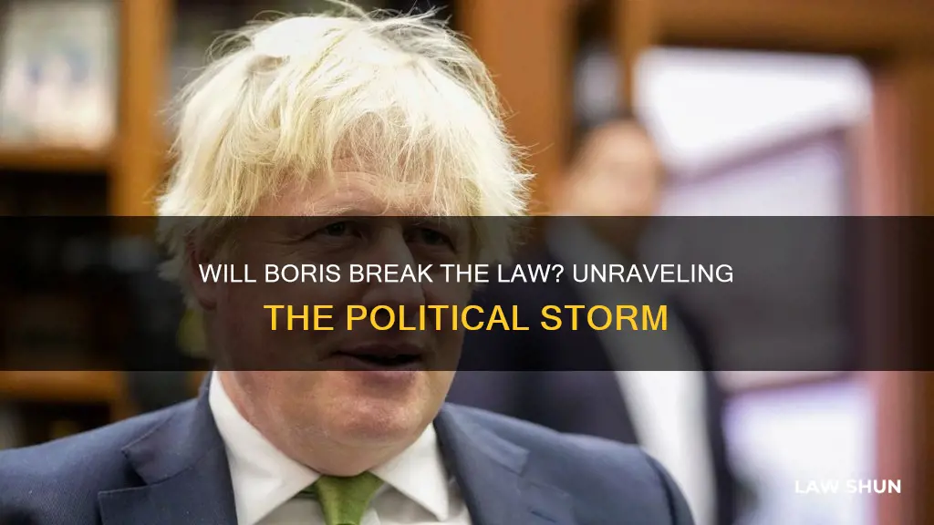 will boris break law