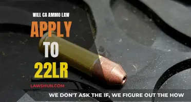 California's Ammo Law: Does It Affect .22LR?