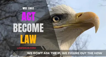 Eagle Act: Will It Soar Into Law?