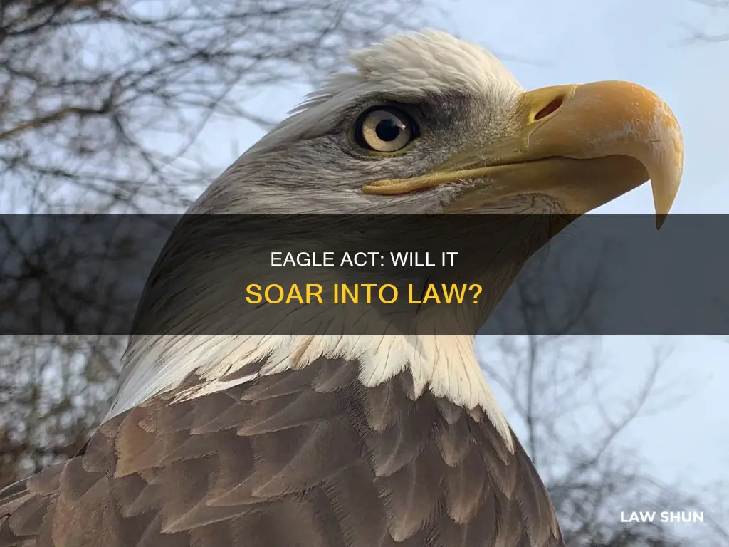 will eagle act become law