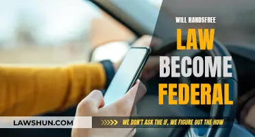 Hands-Free Law: Federal Future?