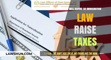 Immigration Law and Taxes: What's the Connection?