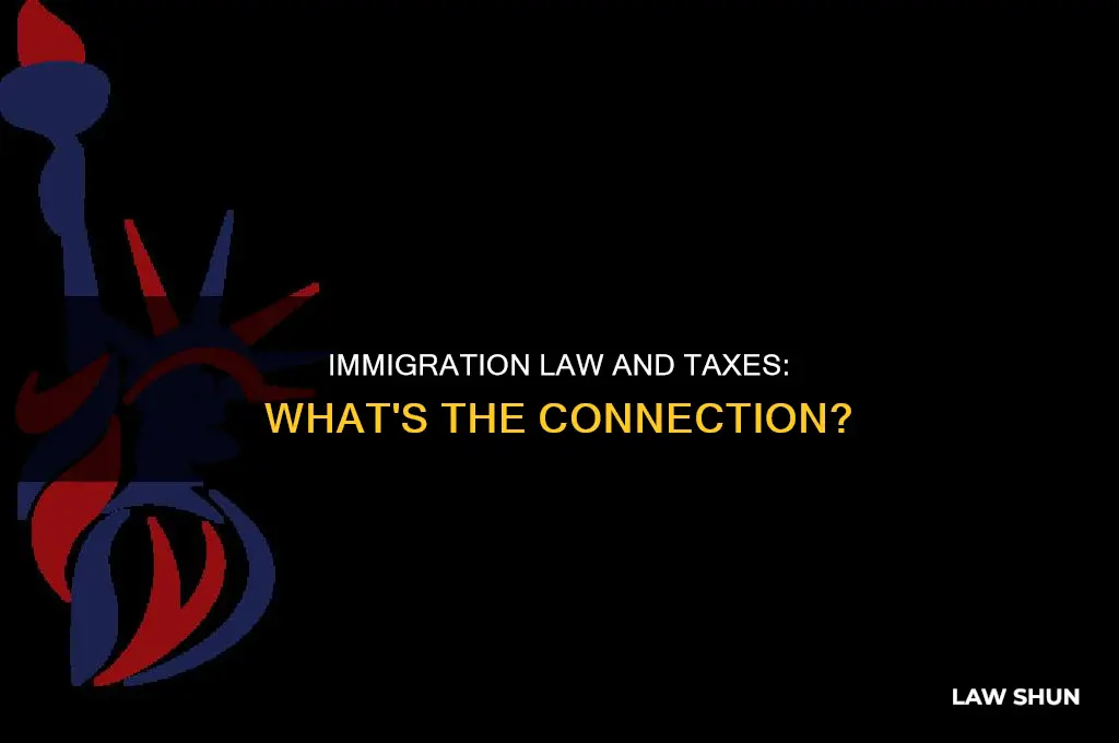 will having an immigration law raise taxes