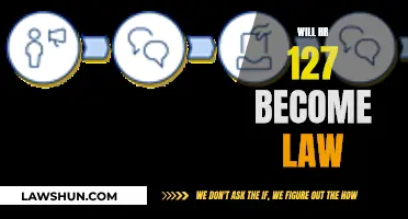 Implications of HR 127: Will It Become Law?