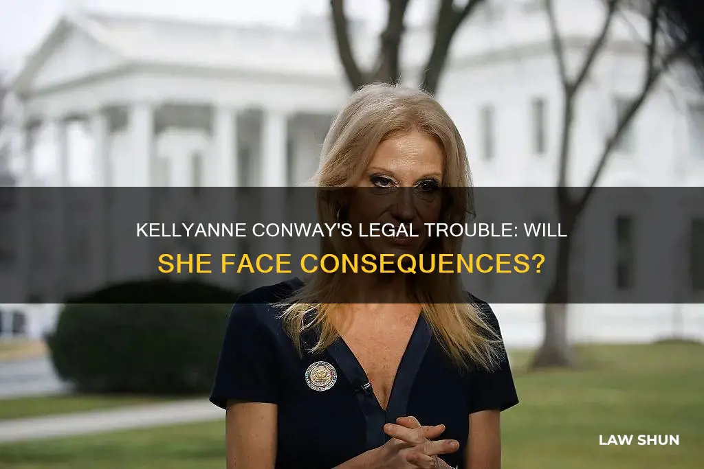 will kellyanne conway be punished for breaking the law