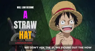 The Future of Law: A Straw Hat's Journey