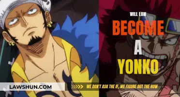 Yonko Law: The New World's Future Power?