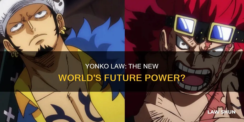 will law become a yonko