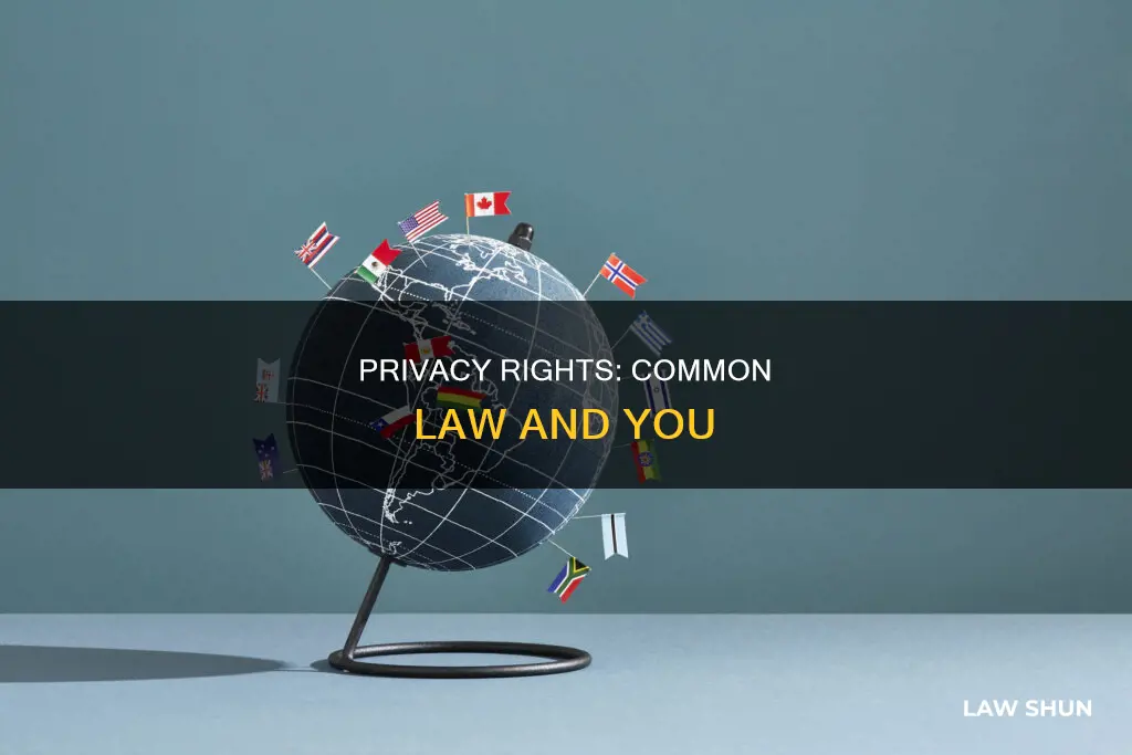 will not violate any common law right of privacy