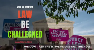 The Battle Over Abortion Laws in New York