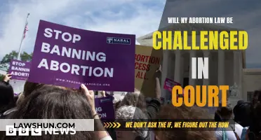 New York Abortion Law: Court Challenge Ahead?