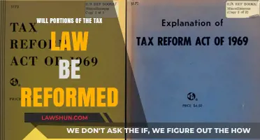 Tax Law Reform: What's Next?