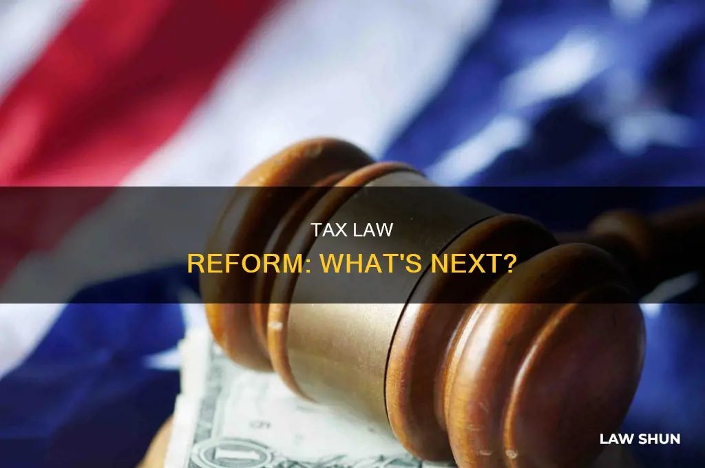 will portions of the tax law be reformed