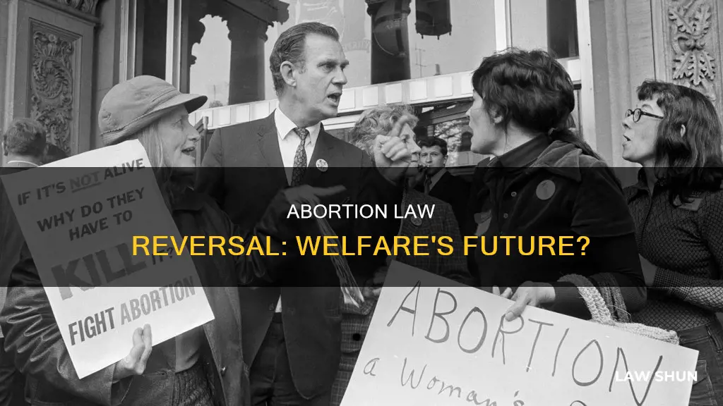 will reversing abortion laws lead to more children in welfare