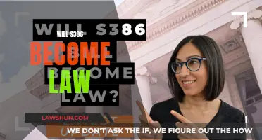 S386: Will it Become Law?