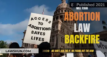 Texas Abortion Law: A Recipe for Backlash?