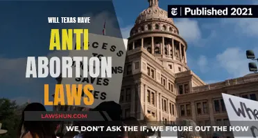 Texas Abortion Laws: Future Bans and Restrictions?