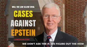 Will Epstein's Victims Get Their Day in Court?