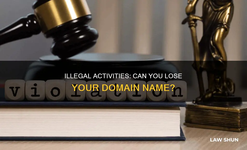 will you lose domain name for breaking the law