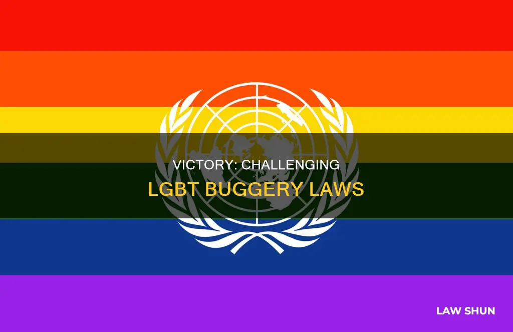 won case against lgbt buggery laws