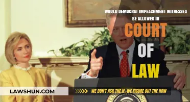 Would Democrat Impeachment Witnesses Hold Up in a Court of Law?