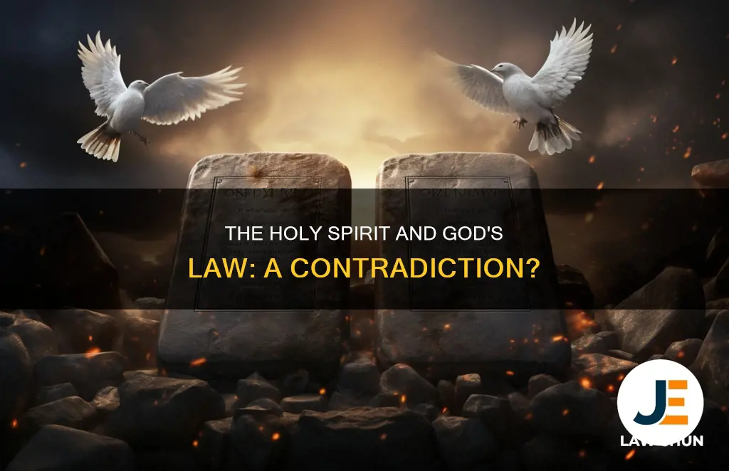 would the holy spirit lead us to break gods law
