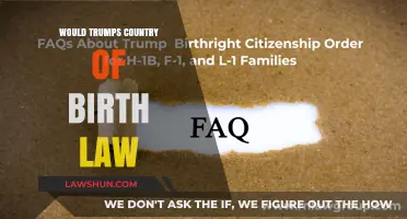 Trump's Birthplace Law: Unraveling the Constitutional Debate and Implications