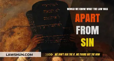 Understanding Divine Law: Beyond Sin and Morality