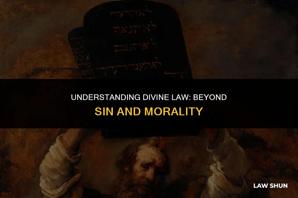 would we know what the law was apart from sin